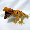 Armadillo Lizard Scale 1:1 Miniature Model
