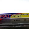 Japan Tokyo NJ1156 1/80 Bus Die Cast Model