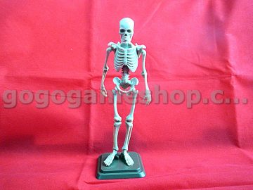 Skeleton Miniature Model (Bone Color)